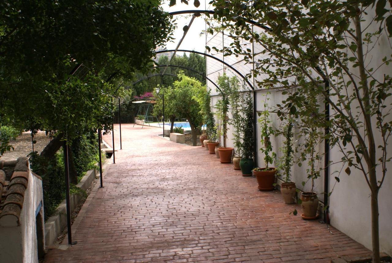 La Canota King Rooms Adults Only Talara Kültér fotó